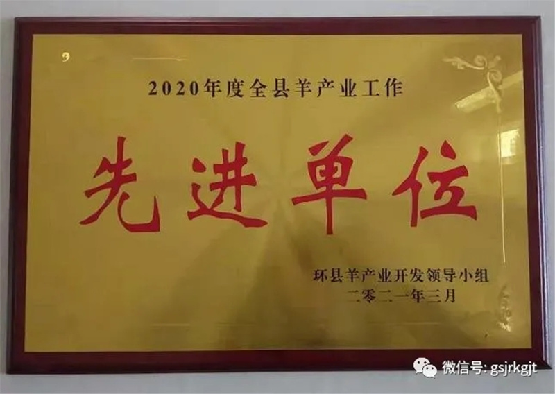 OKPAY庆阳担保公司获2020年度环县全县羊产业工作先进单位称号